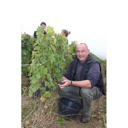 Domaine Jerome Chezeaux