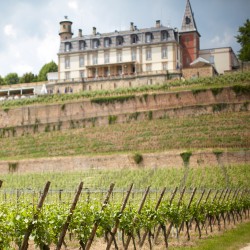 Clos du Chateau dIsenbourg