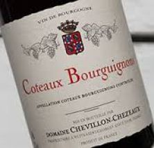 Domaine ChevillonChezeaux Coteaux Bourguignons 2016 (5016)