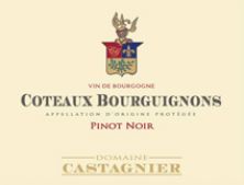 Domaine Jerome Castagnier Coteaux Bourguignons Pinot Noir 2017 (5431)
