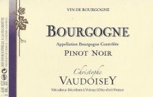 Domaine Christophe Vaudoisey Bourgogne Rouge Pinot Noir 2019 (7418)