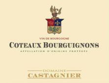 Domaine Jerome Castagnier Coteaux Bourguignons Chardonnay 2018 (6411)