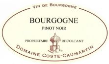 Domaine Coste-Caumartin Bourgogne Cote d'Or rouge 2019 (7508)